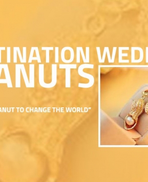 Destination Wedding Peanuts, a Roma una giornata con 8 star dei matrimoni