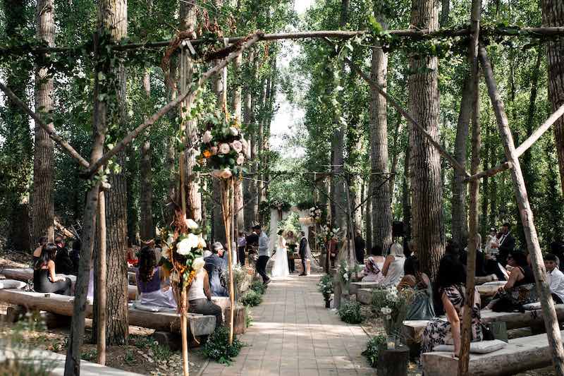 In questa foto la cerimonia di nozze di Alice e Michele nel bosco di Tenuta Savoca