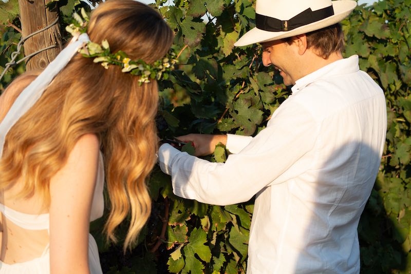 In questa foto due sposi nella vigna di Masseria Cuturi in un momento del loro Wine Wedding