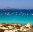 Destination Wedding Planner Favignana, i migliori per organizzare le tue nozze sull’isola