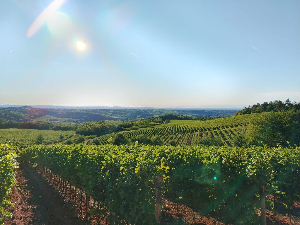 In questa foto Tenuta La Giustiniana location di matrimoni in piemonte